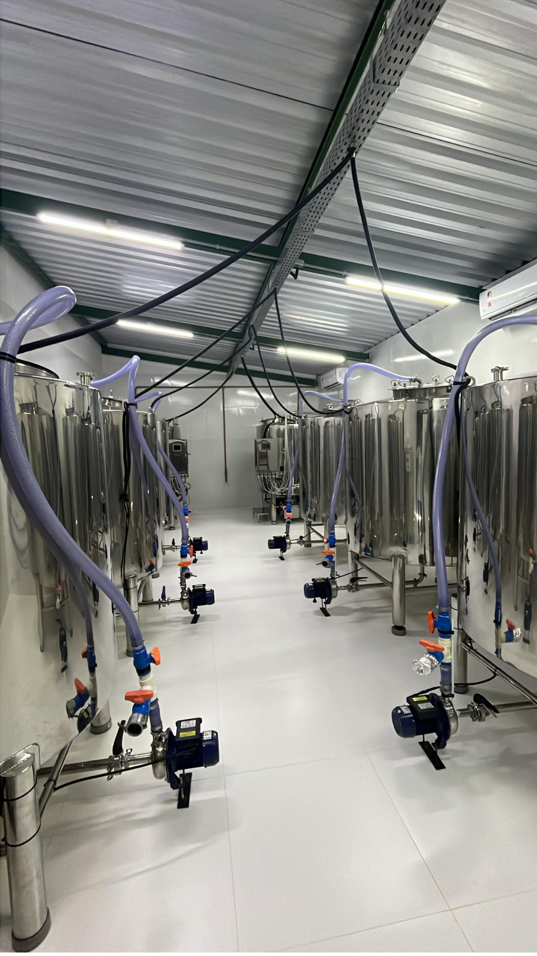 Foto do modelo Biofábrica Silver